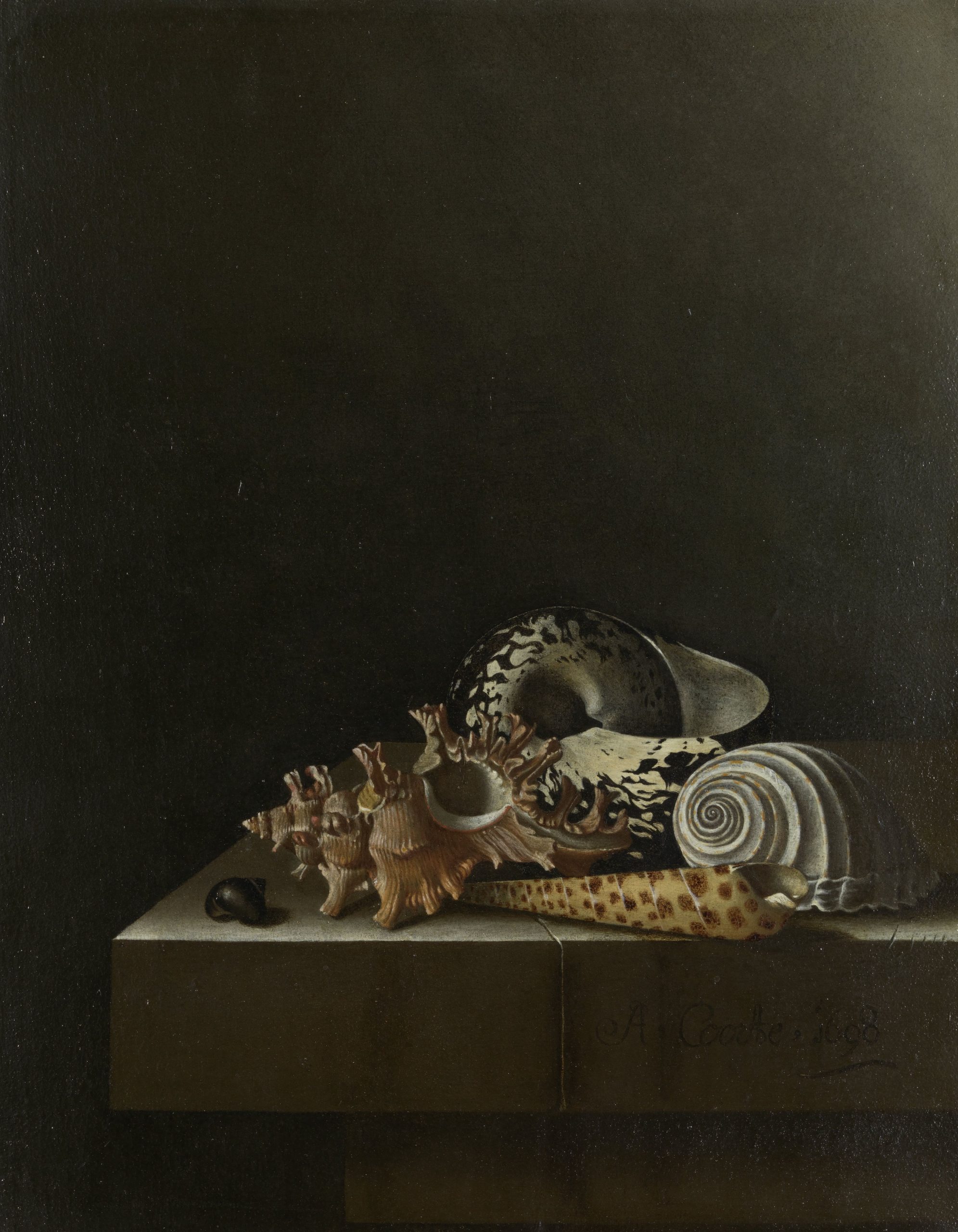 Adrienne Coorte
“Still Life with Shells”
Oil on paper on panel, 11×9 inches, 1698.