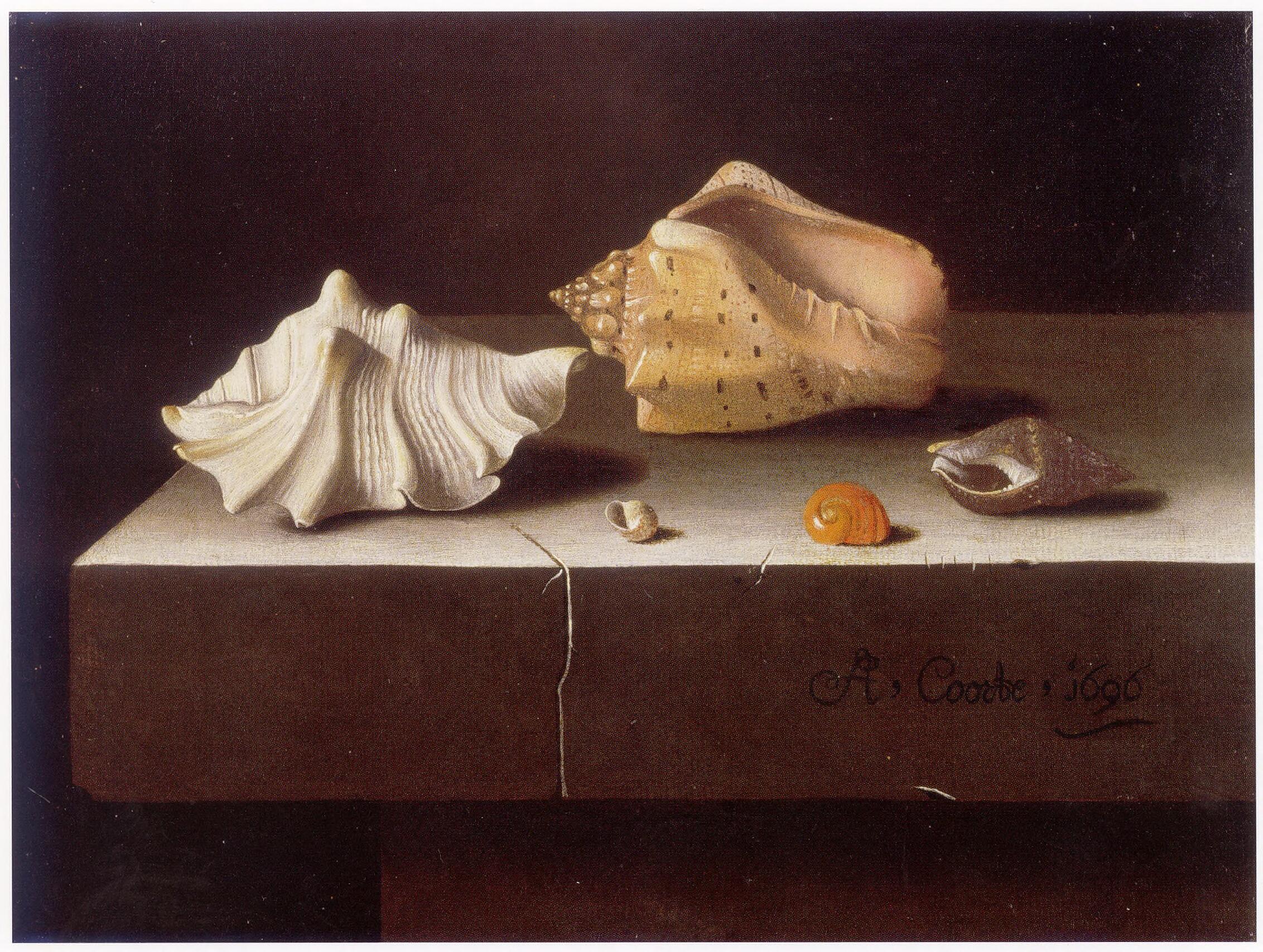 Adrienne Coorte
“Two Large and Three Small Shells on a Slab of Stone”
Oil on paper on panel, 6×9 inches, 1696