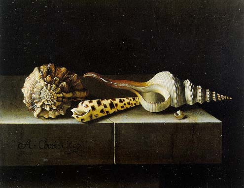 Adrienne Coorte “Still Life with Shells” Oil on paper on panel, 7×9 inches, 1697.