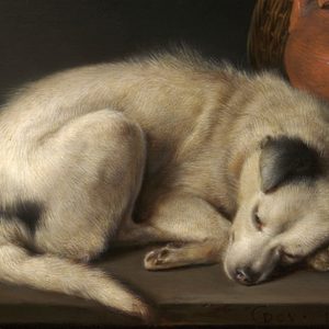 Gerrit_Dou_(Dutch,_1613–1675),_Sleeping_Dog,_1650._Oil_on_panel-detail1