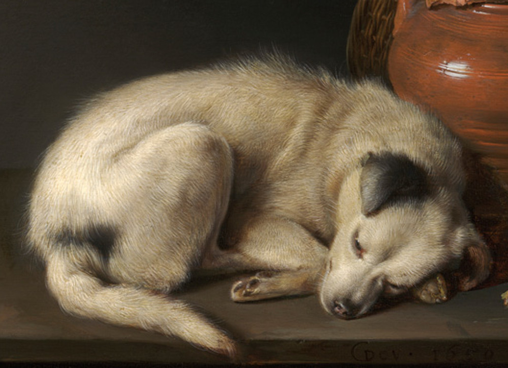 Gerrit Dou
Detail from "A Sleeping Dog", 1650
Oil on panel, 6x8 inches /  15x20 cm